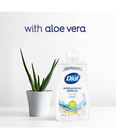Dial Antibacterial Liquid Hand Soap White Tea 11 fl oz 11 Fl Oz (Pack of 1) - Buy Online on GoSupps.com