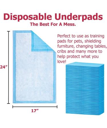 Dealmed Economy Absorbency Medical Underpads 100 Count | 2-Ply Tissue Fill for Pet Pads and Furniture Protection | 17 x 24 Blue Barrier | 1 Pack - Buy Online on GoSupps.com