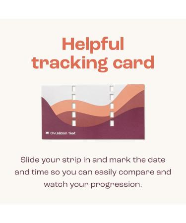 Bird&Be Ovulation Test Strips (Predictor Kit with 40 LH Strips Over 99% Accurate) 40 count (Pack of 1) - Buy Online on GoSupps.com