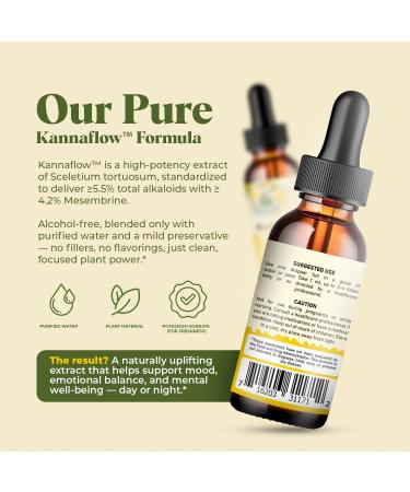 Amazing Botanicals Platinum Kanna Extract Tincture 25mg Sceletium Tortuosum | 80% Mesembrine | 5.5% Alkaloids | Supports Calm & Focus | Vegan, Non-GMO, USA Made, Sugar & Alcohol-Free Drops - 1oz 1 Fl Oz (Pack of 1) - Buy Online on GoSupps.com