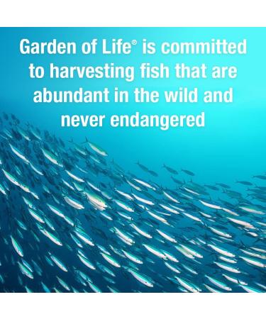 Garden of Life Oceans 3 Omega-3 with OmegaXanthin - 60 Softgels for Heart & Brain Health - Buy Online on GoSupps.com