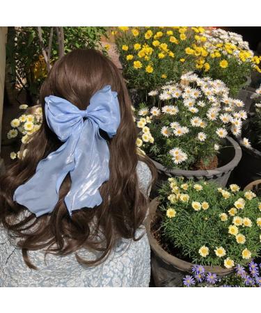 Limtula Bows Barrettes Big Bows Hair Clip Bows hairpin Ribbon Hair Clip Bowknot Hair Clip Ponytail Clip Bows Hair Accessories Champagne - Buy Online on GoSupps.com