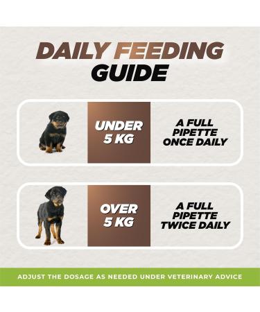 Kennel Cough Relief | Immediate and Long-Lasting Support for Dogs | 50ml - Buy Online on GoSupps.com