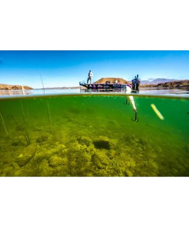 Berkley Choppo 90mm 1/2 oz Bone Hard Bait - Premium Fishing Lure - Buy Online on GoSupps.com