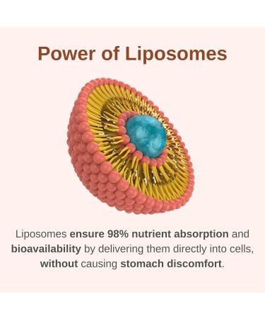 Vitaminally Liposomal Men's 50+ Liquid Multivitamin Drops | Non-GMO | Sugar Free | Gluten Free | 30 Day Supply | 3 FL Oz | Supports Brain Health Immunity and Energy Production - Buy Online on GoSupps.com