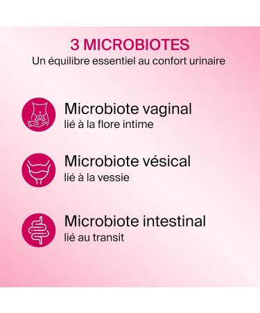 GYNDELTA Microbiota | Confort urinaire et digestif de la femme | Canneberge Pacran Tamarin Cynorrhodon & probiotiques | 30 g lules v g tales | Cure 1 mois | Fabriqu en France - Buy Online on GoSupps.com