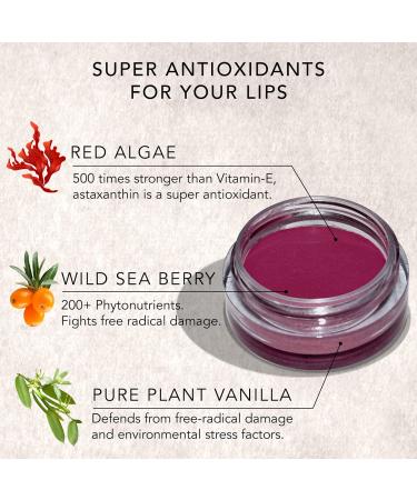 Daughter Earth Vegan Lip & Cheek Tint - Natural Blush | Lip Stain | Cheek Tint in Fonc Red (Maroon) - Buy Online on GoSupps.com