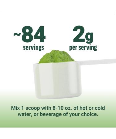 Force Factor Organic Matcha Green Tea Powder for Energy Focus and Daily Wellness Culinary Grade USDA-Certified Organic Rich and Delicious Flavor 169g 84 Servings - Buy Online on GoSupps.com