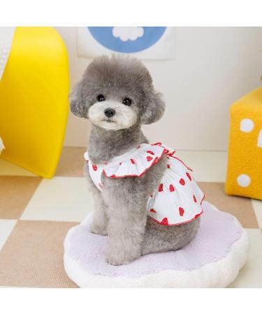 Shenrongtong Puppy Dresses for Small Dogs | Cute Strawberry Print Dog & Cat Clothing | Stylish Litter Clothes for Girls - Buy Online on GoSupps.com