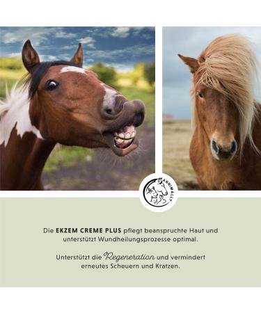 Annimally Eczema Cream Plus 500ml - Relief for Horses' Eczema Rash Mauke & Itching with D-Panthenol & Chamomile Oil - Buy Online on GoSupps.com