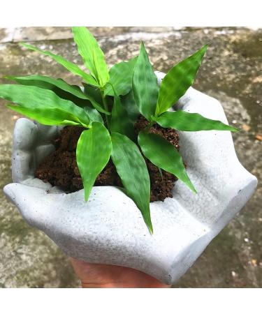Hand Shaped Flower Pot Silicone Mold - Succulent Planter, Concrete Clay, Resin Jewelry Storage, Epoxy Casting Mold - Buy Online on GoSupps.com