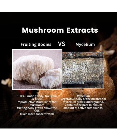 WL Herbal Treasure Organic Lions Mane Non-GMO and Gluten-Free Lions Mane Neuronal Growth and Immune System Mushroom Powder for Memory Support Concentration Clarity Creativity and Mood-50 Serving - Buy Online on GoSupps.com