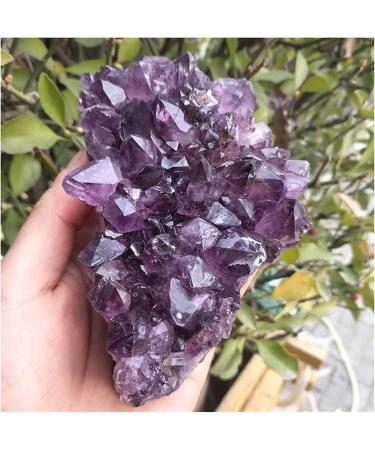 Amethyst Rough Stone 540-560g Natural Dream Amethyst Quartz Crystal Cluster Specimen - Buy Online on GoSupps.com