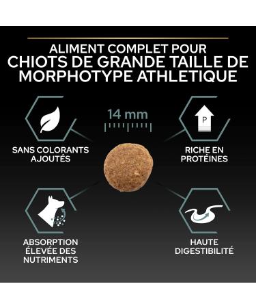 PURINA PRO PLAN | Large Athletic Puppy 2 Sensitive Digestion | Rich in Lamb | Dry Food | Puppy | 12kg Bag - Buy Online on GoSupps.com