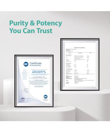 LincNutri Oral Probiotics for Bad Breath & Mouth for Adults 10 Billion CFU - Dental Probiotic Supports Fresh Breath - Dental Plaque & Cavity Prevention - for Gum & Teeth Care - 60 Lozenges Mint Flavor - Buy Online on GoSupps.com