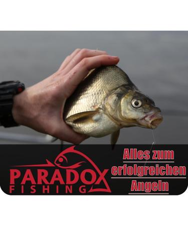 Paradox Fishing Floats Set | 5 Pieces (1.5g-5g) | Glow Stick Fishing Floats for Enhanced Night Fishing - Buy Online on GoSupps.com