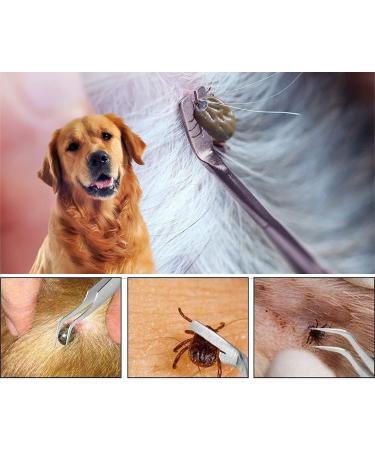 Emwel Tick Remover Tools for Dogs 4Pcs Stainless Steel Painlessly Tick Professional Tick for Dogs Cats Horses and Humans Pets Green - Buy Online on GoSupps.com