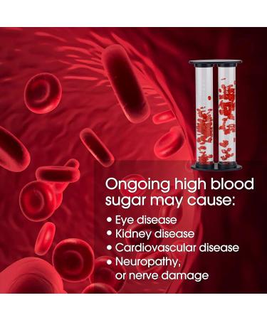 High Blood Glucose Management & Healthy Blood Vessels | Medical Teaching Models for Diabetes Education - Buy Online on GoSupps.com