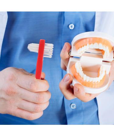 Minkissy 4-Piece Dual Head Toothbrush Set | Hard Prosthesis Cleaning Brushes for Dentures | Effective Denture Care & Oral Hygiene - Buy Online on GoSupps.com