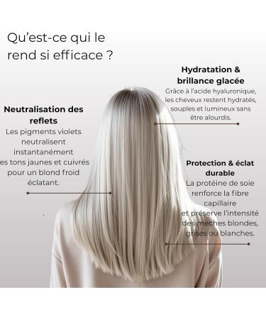  NOIA PARIS NO A HAIR TRIO Silver Hair Routine Shampoo Mask & Serum Anti-Yellowing Cold Shine & Shine Professional Care for Blonde Grey & Highlighted Hair - Buy Online on GoSupps.com