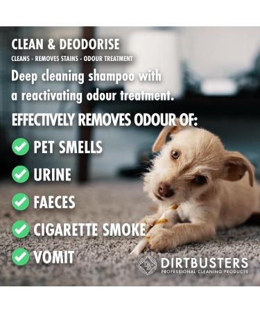 Dirtbusters Carpet Cleaner Shampoo Solution Clean & Deodorise 3-in-1 Cleaning Stain Remove & Odour Treatment Berry Fresh (1L) - Buy Online on GoSupps.com