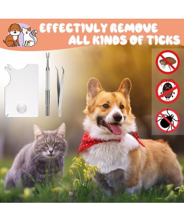 Deepton Tick Removal Kit for Dogs & Cats - 5 Piece Set with Magnifying Glass Stainless Steel Tweezers & Hooks - Safe for Humans & Pets - Buy Online on GoSupps.com