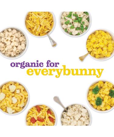 Annie's Organic Alfredo Shells & Cheddar Macaroni Cheese - 12 Pack (6 oz Each) - Buy Online on GoSupps.com