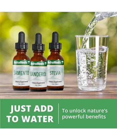 NutraMedix Houttuynia 1 fl oz - Immune & Microbial Support Supplement - Buy Online on GoSupps.com