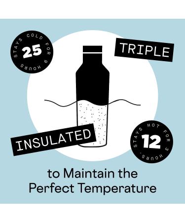 Corkcicle Disney Princess Belle Insulated Canteen 20oz - Triple Insulated Stainless Steel Sports Water Bottle - Keeps Drinks Cold 25 Hours, Warm 12 Hours - Buy Online on GoSupps.com