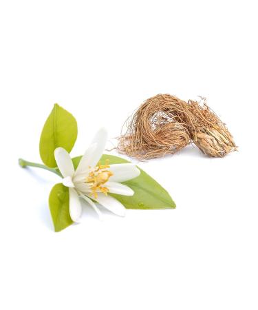 Derek Lam Rain Day Fragrance Mist for Women - 8 oz Body Mist Floral Fresh 8 Fl Oz (Pack of 1) - Buy Online on GoSupps.com