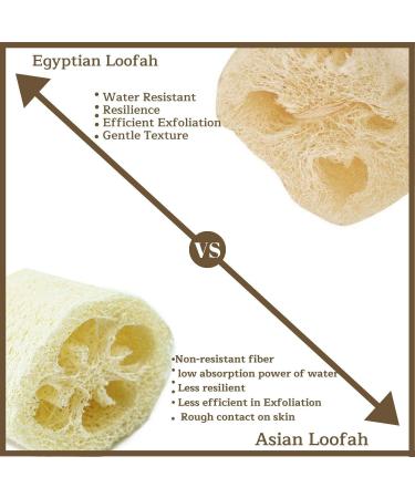 NileCart Natural Organic Egyptian Loofah Sponges - Large Exfoliating Shower Body Scrubber for Radiant Skin - 22 Inch - Pack of 1 - Buy Online on GoSupps.com
