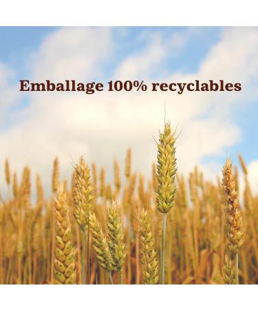 Mulino Bianco Mulino Bianco Chicche di Cacao Biscuit filled with cocoa cream made from sustainable agricultural flours - 1 pack of 200g - Buy Online on GoSupps.com