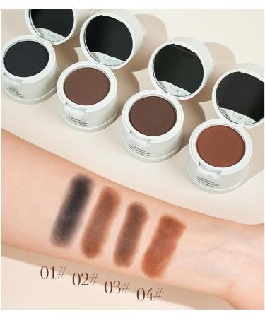Hair Shadow Powder Portable Soft Sponge 0.14 Oz Hair Root Concealer for Cosmetic (04) - Buy Online on GoSupps.com