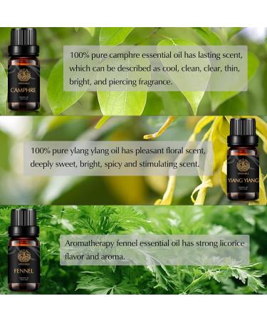 Aromatherapy Ylang Ylang Essential Oil Set for Diffuser 100% Pure Camphre Essential Oil Kit for Humidifier 3x10ml Therapeutic Grade Fennel Essential Oil Set - Camphre Fennel Ylang Ylang Oils Kit - Buy Online on GoSupps.com