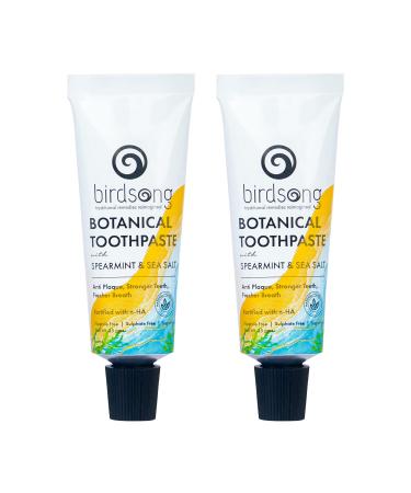 Botanical Sea Salt and Spearmint Toothpaste 25 GMS