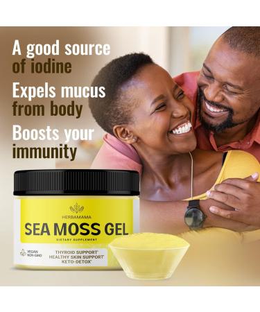 HERBAMAMA Sea Moss Gel 12 oz - Organic Wildcrafted Irish Sea Moss Supplement for Thyroid, Skin, Hair Support - Vegan Dr Sebi Approved - 12 Ounce Organic Raw Gel - Buy Online on GoSupps.com