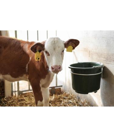 Buy Kerbl Foldable Bucket Holder - Perfect for Easy Storage & International Shipping - Buy Online on GoSupps.com