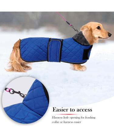 Warm Thermal Quilted Dachshund Coat - Blue - Size L - Winter Dog Apparel with Fleece Lining - Buy Online on GoSupps.com