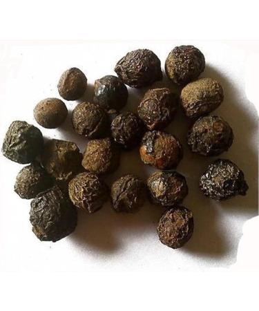 RAW HERBS SUGANDH KOKILA LAUREL BERRY CINNAMOMUM CECIDODAPHNE (50GM) - Buy Online on GoSupps.com