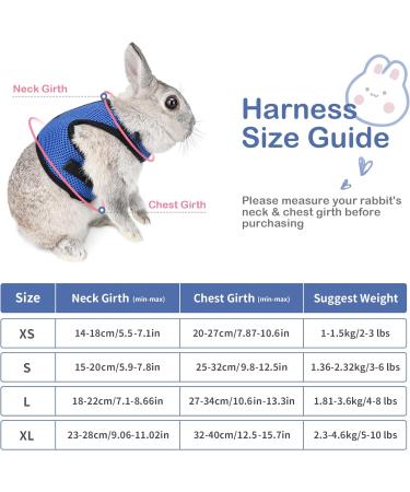 Adjustable Soft Cat Dishes with Elastic Leash for Small Animals - Blue | Ideal for Kitties & Bunnies (Chest 28-35cm) | International Shipping Available - Buy Online on GoSupps.com