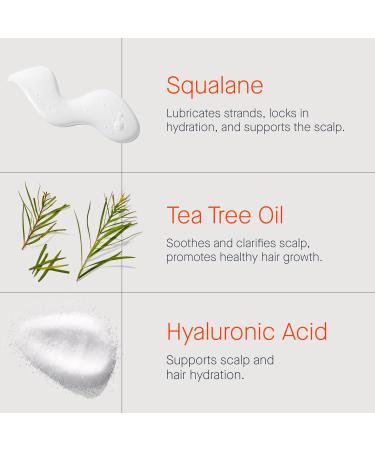 Pre Wash Hair Oil for Curly Hair - Sulfate Free Removes Build Up Eases Detangling & Minimizes Breakage | 4C Textured Hair | 4oz - Buy Online on GoSupps.com