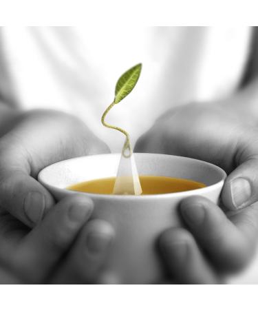 Tea Forte Green Tea Assortment - 10 Pyramids | Premium International Shipping - Buy Online on GoSupps.com