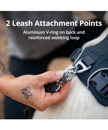 Luffwear Front Range Dog Harness - Reflective Adjustable Comfortable Padded Everyday Harness for Walks & Dog Races - Coastal Mountains XXS - Buy Online on GoSupps.com