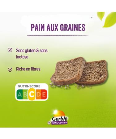 Gerbl Gluten Free and Lactose Free Seed Bread - Pack of 8 Seed Breads (8x300g) - Buy Online on GoSupps.com