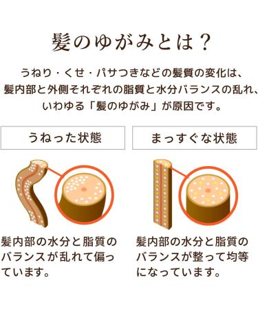 Diabote Oil In Conditioner (Rich & Repair) Refill 360g - Buy Online on GoSupps.com