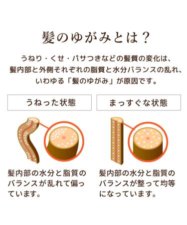 Buy Dear Beaute HIMAWARI Oil In Conditioner 500g - Rich & Repair for Deep Nourishment | International Shipping Available - Buy Online on GoSupps.com