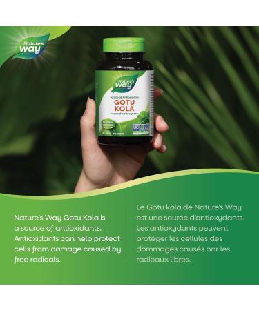 Nature's Way Gotu Kola Antioxidant 100 Vegetarian Capsules 100 count (Pack of 1) - Buy Online on GoSupps.com