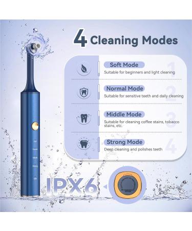 BlueFire Teeth Cleaning Kit for Daily Cleaning Waterproof Teeth Cleaning Tools with 6 Brush Heads 4 Speed Modes and LED Lights Teeth Cleaning Brush for People/Pets(Blue) - Buy Online on GoSupps.com