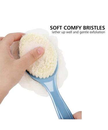 Shower Body Brush with Loofah & Bristles | Exfoliating Back Scrubber for Men & Women - Long Curved Handle (Blue) - Buy Online on GoSupps.com