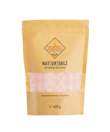 Salt & salt premium Himalaya salt Coarse & salt fine 400g & 900g - rock salt made of Pakistan without additives - natural salt unirring for salt mills and connoisseurs - pink crystal salt primeval salt rock salt 400 g (1 Pack) - Buy Online on GoSupps.com